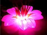 Inflatable lighting flower decorations for hanging