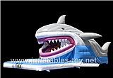 Inflatable Snappy Shark Bouncer,BC-118