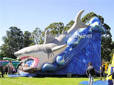 Shark inflatable slide,CLI-1021