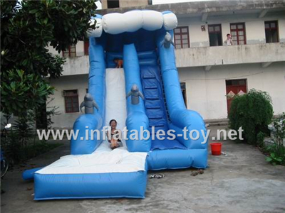 Inflatable water slide,CLI-1007