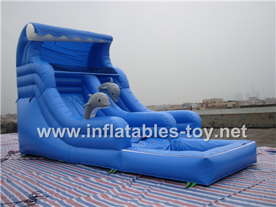 Inflatable dolphin water slide,CLI-1005